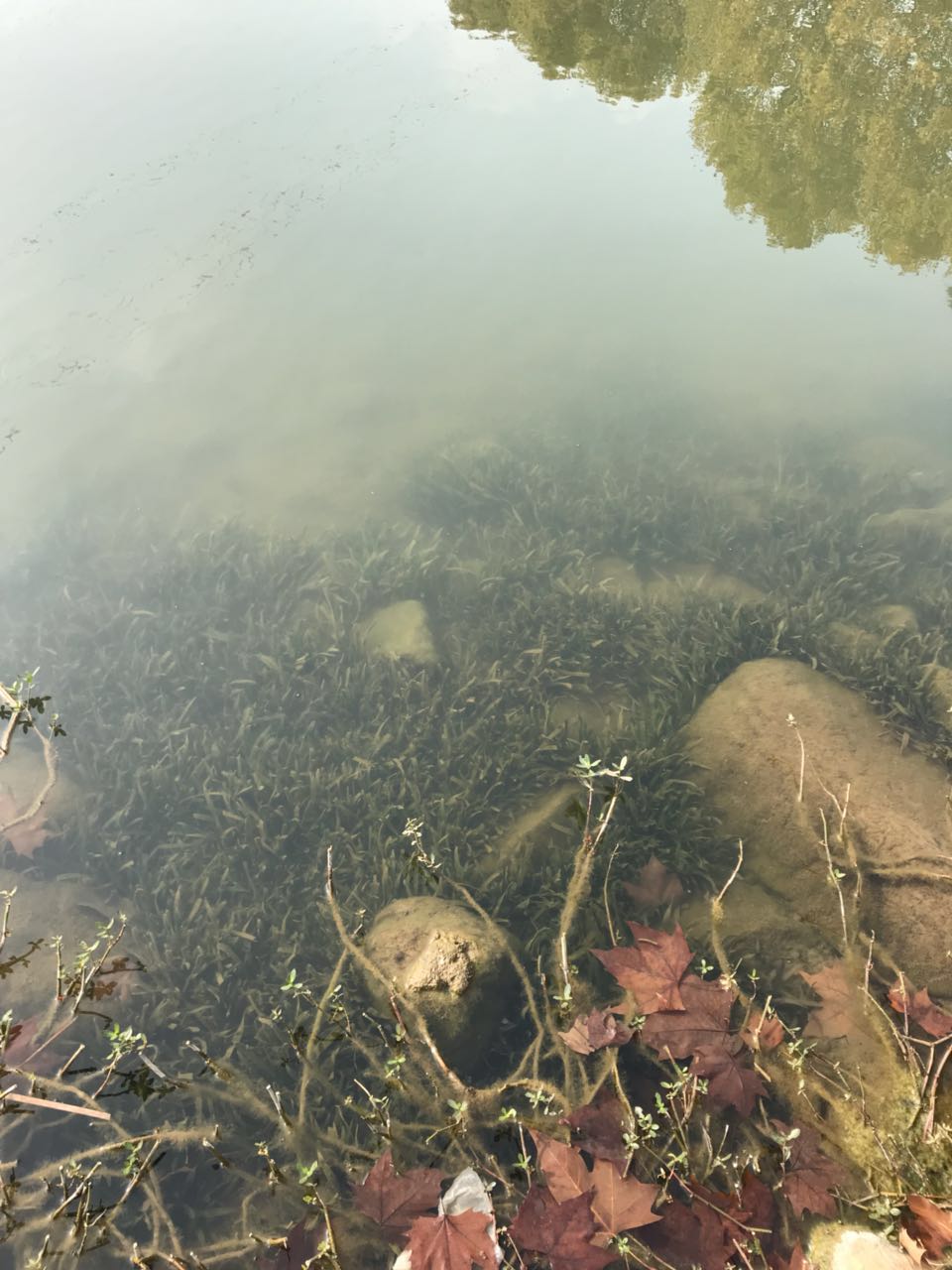 牛首山碧蓝水体一拍摄于2017年十一月