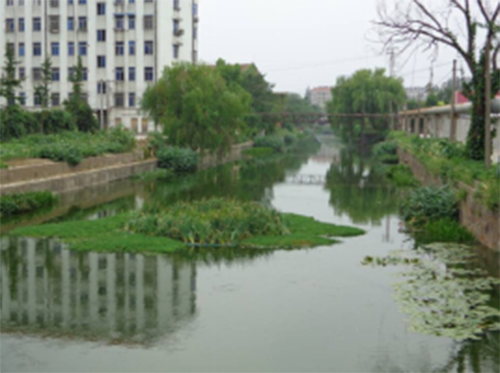 生态构建技术