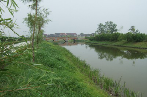 生态构建技术