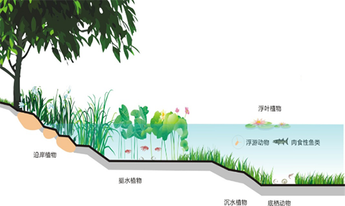 生态构建技术