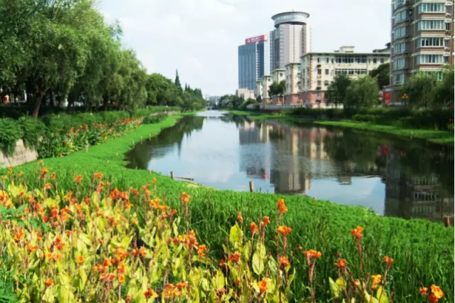 河道景观设计：、绿化、综合治理、生态修复及植物选择