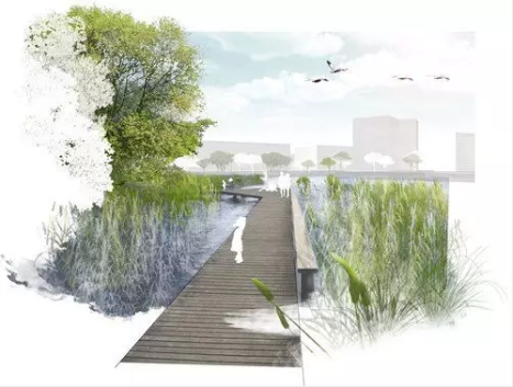 河道景观设计：、绿化、综合治理、生态修复及植物选择