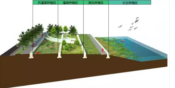 河道景观设计：、绿化、综合治理、生态修复及植物选择