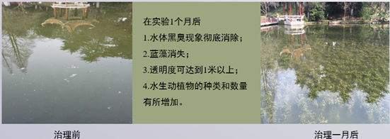 合肥稻香楼宾馆水体治理工程