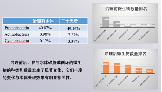上海杨浦区长海新村西湖园水体治理工程
