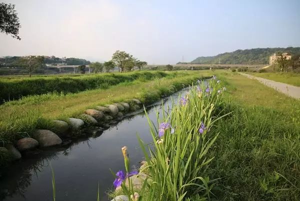 常用水生生态环境质量改善工程探析