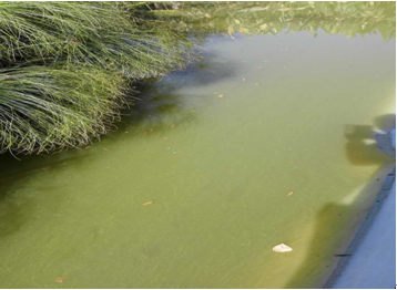 【河道整治】含氟废水处理方式的科学研究
