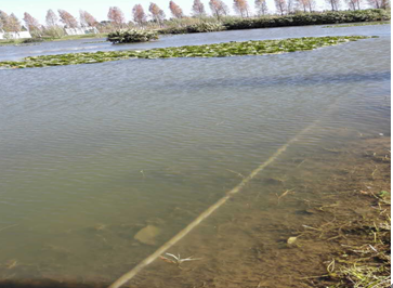 【河道整治】工业生产废水氨氮统计分析方法提升科学研究