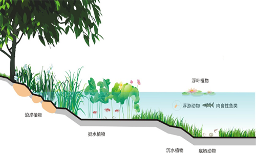 【河道整治】关于环保工程项目污水处理浅析