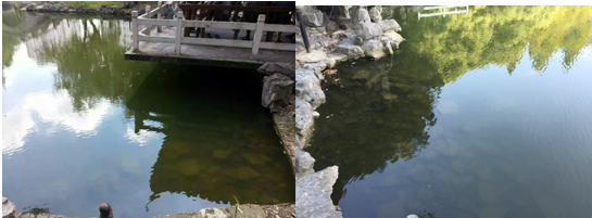 【黑臭水体治理】气浮法解决含油量废水的加工工艺提升科学研究