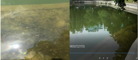 【黑臭水体治理】气浮法解决含油量废水的加工工艺提升科学研究