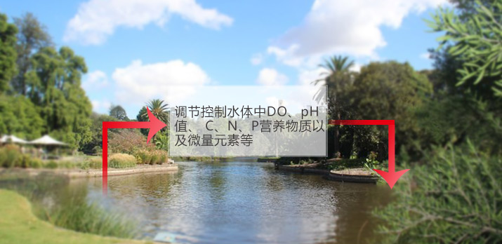【河道整治】油气田含油污水处理技术性科学研究