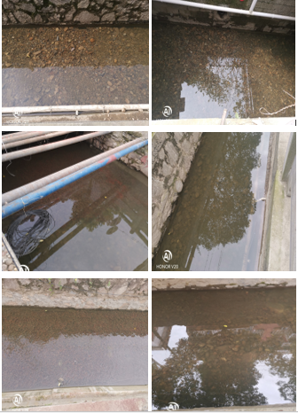 宁国市星河黑臭水体治理工程